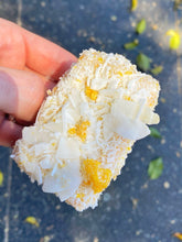 Load image into Gallery viewer, Lemon lamington - Breadfern Bakery
